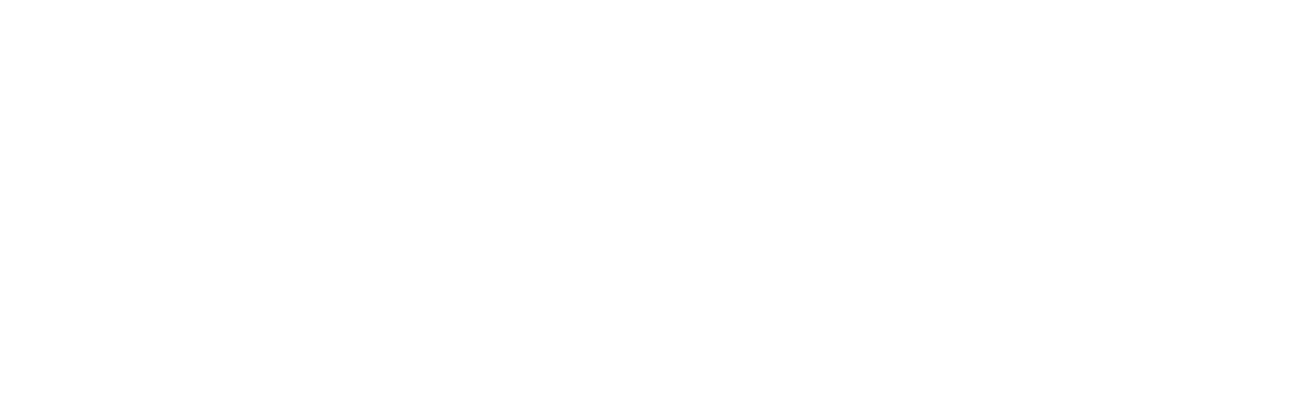 Neustädter Einkaufszentrum